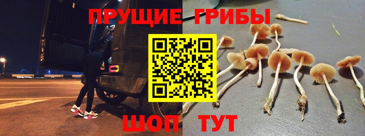 Псилоцибиновые грибы мухоморы Назарово